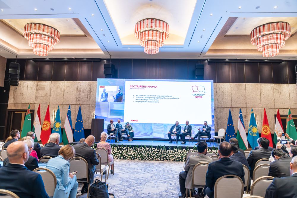 fot. Anita Kot, Perspektywy